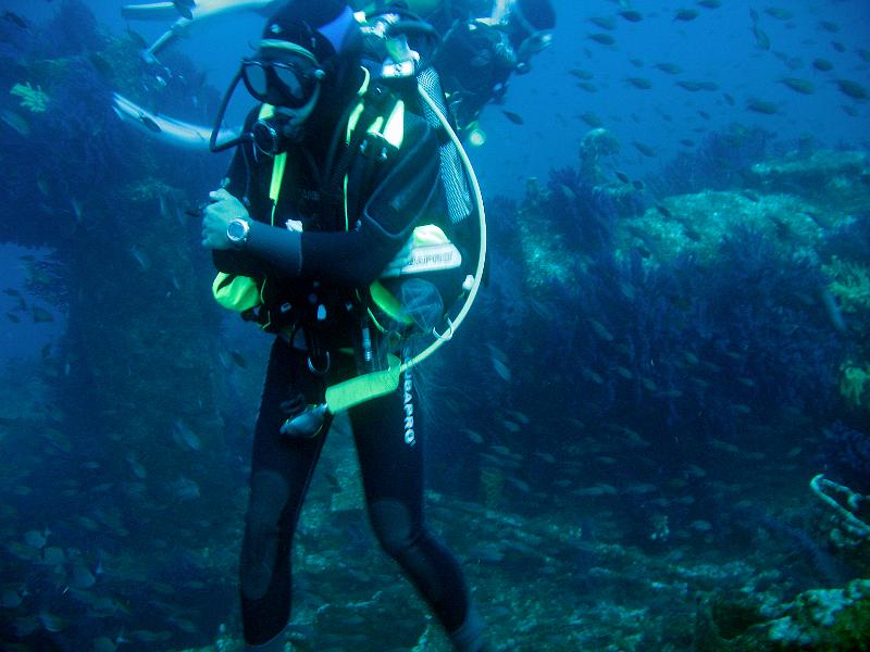 IMG_3402.JPG - Une méduse joue avec les plongeurs à l'arrivée à 40m