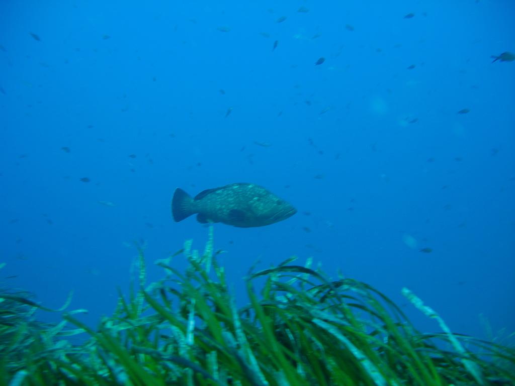 IMG_3284.JPG
