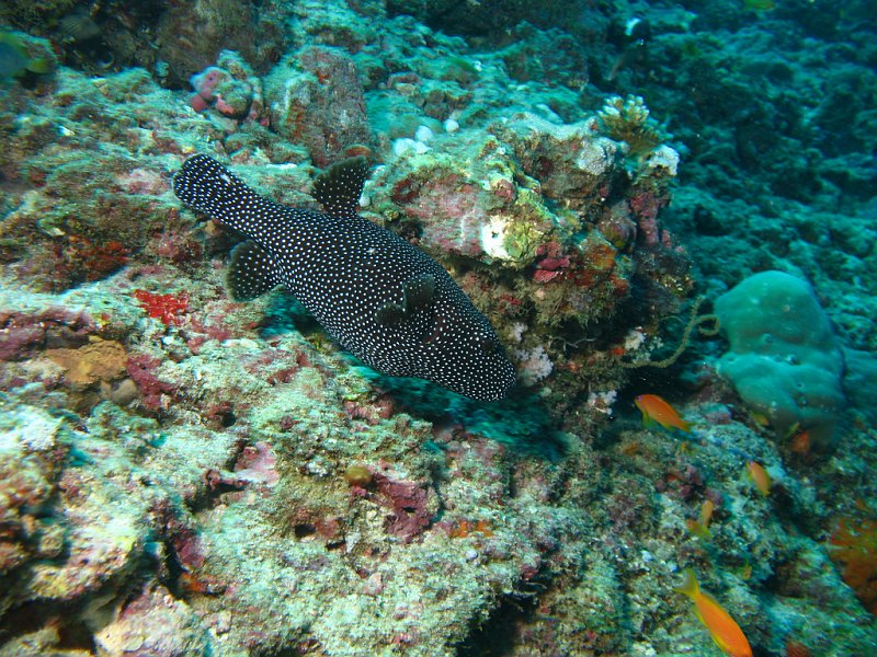 IMG_6407.JPG