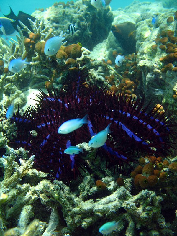 IMG_6500.JPG